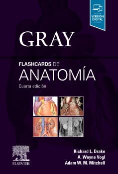 Flashcards de Anatomía Gray - Cuarta Edición