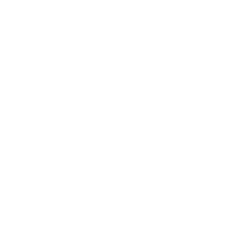 Medida Vital